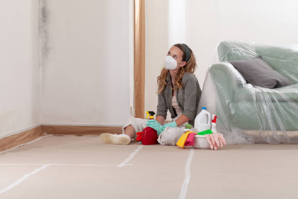 Reliable Mold Remediation contractor in Carrsville, VA by WQB Mold Removal